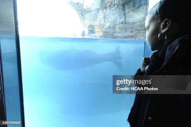 Honorees and guests at the Indianapolis Zoo during the 2009 NCAA Photos via Getty Images Woman of the Year Awards in Indianapolis, IN. Brett...