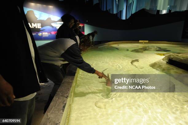 Honorees and guests at the Indianapolis Zoo during the 2009 NCAA Photos via Getty Images Woman of the Year Awards in Indianapolis, IN. Brett...