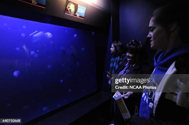 Honorees and guests at the Indianapolis Zoo during the 2009 NCAA Photos via Getty Images Woman of the Year Awards in Indianapolis, IN. Brett...