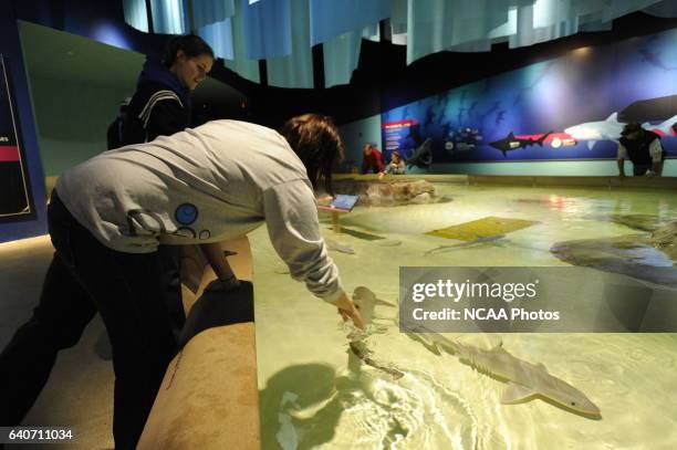 Honorees and guests at the Indianapolis Zoo during the 2009 NCAA Photos via Getty Images Woman of the Year Awards in Indianapolis, IN. Brett...