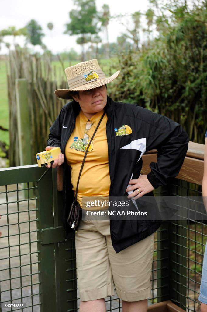 NCAA Photos Archive
