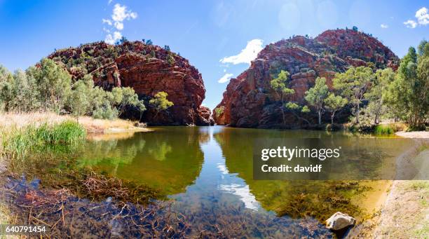 the spectacular ellery creek big hole waterhole in northern territory, australia - brook stock pictures, royalty-free photos & images