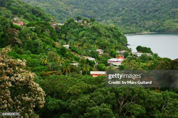 speyside, tobago, trinidad & tobago - tobago stock pictures, royalty-free photos & images