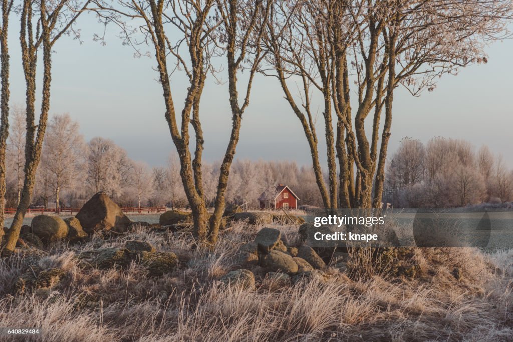 Invierno paisaje naturaleza en Suecia