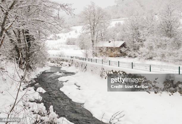 small guesthouse  near river at abant after heavy snowfall, bolu, turkey - abant turkey stockfoto's en -beelden