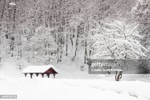 winter time big snow at  abant national park, near bolu, turkey - abant turkey stockfoto's en -beelden