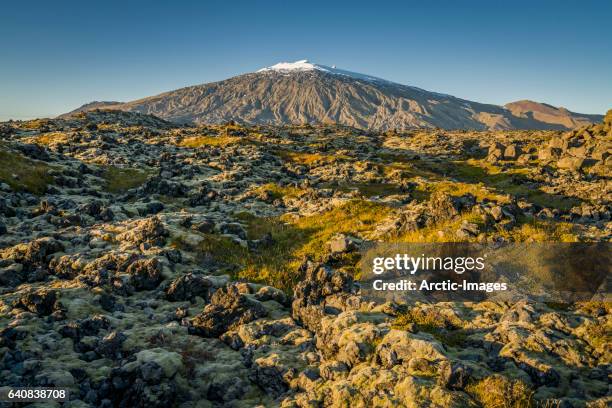 lava and moss landscape, snaefellsjokull glacier, iceland - snaefellsjokull stock pictures, royalty-free photos & images