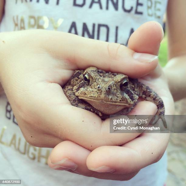 Funnt Toad Funny Toad Photos and Premium High Res Pictures - Getty Images