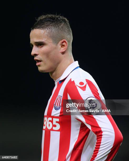 Ibrahim Afellay of Stoke City during the Premier League match between Stoke City and Everton at Bet365 Stadium on February 1, 2017 in Stoke on Trent,...