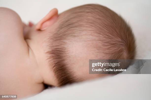 baby has a lack of hair - human head bald stock pictures, royalty-free photos & images