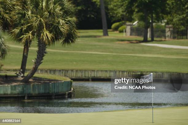 Golfers compete during the Division I Women's Golf Championship held at the Country Club of Landfall-Dye Course in Wilmington, NC. Jamie Schwaberow...