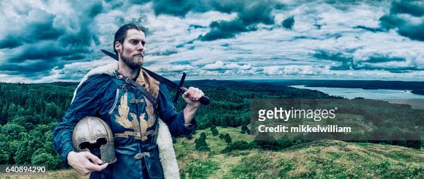 wikinger-krieger steht auf dem hügel mit blick auf die landschaft - krieger stock-fotos und bilder