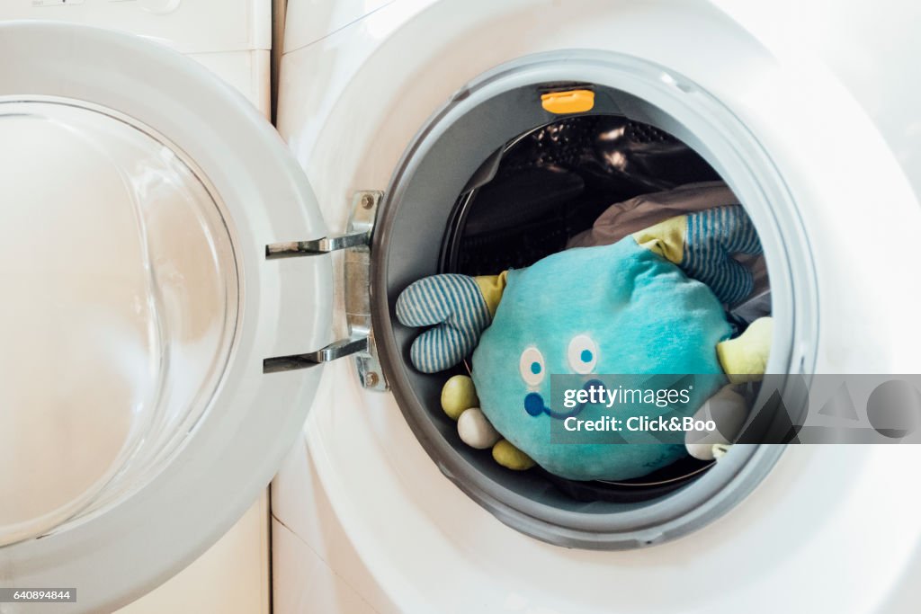 Stuffed crab inside a washing machine