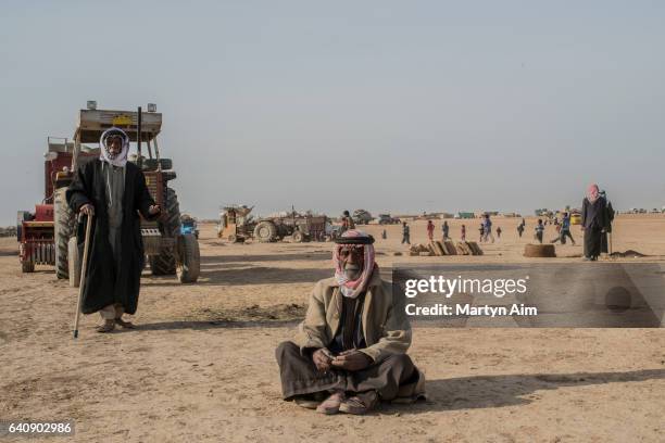 Displaced Iraqi shepherd sits in the sand on November 10, 2016 in Nineveh, northern Iraq. He waits to return to his village while it is cleared of...