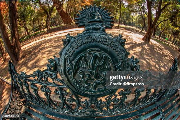 mexican park bench with mexican patriotic symbol - mexico city park stock pictures, royalty-free photos & images