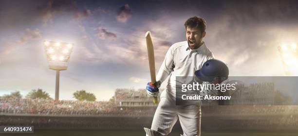 cricket: happy schlagmann auf dem stadion - cricket game fun stock-fotos und bilder