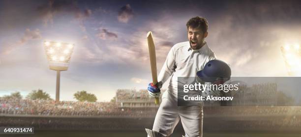 cricket: happy batsman on the stadium - cricket stadium stock pictures, royalty-free photos & images