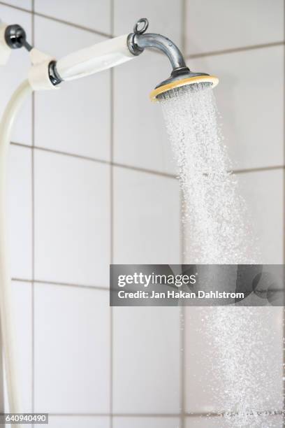 bathroom with shower - shower head stock pictures, royalty-free photos & images