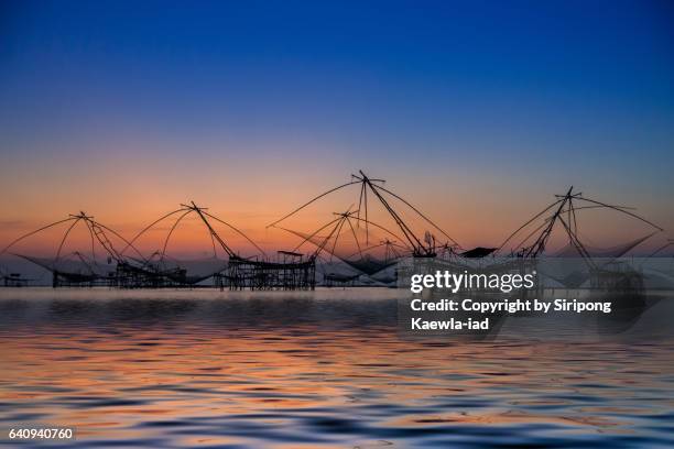 the group of square dip nets in the lake at dawn at talay noi, phutthalung province. - phatthalung province stock-fotos und bilder