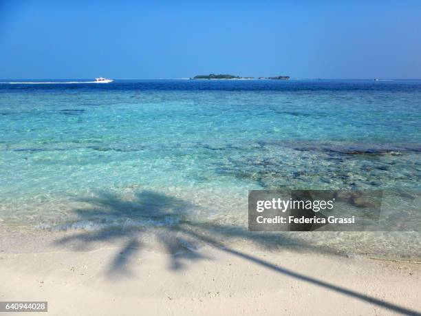 cocoa island seen from biyadhoo, maldives - evergreen plant fotografías e imágenes de stock