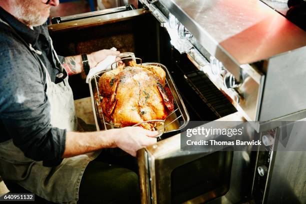 man pulling cooked turkey out of oven - geröstet stock-fotos und bilder