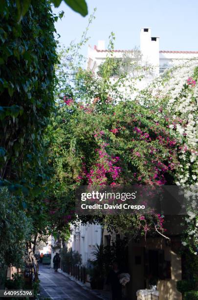 beautiful street - plaka greek cafe stock pictures, royalty-free photos & images