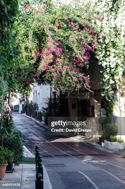 street in athens - plaka greek cafe stock pictures, royalty-free photos & images