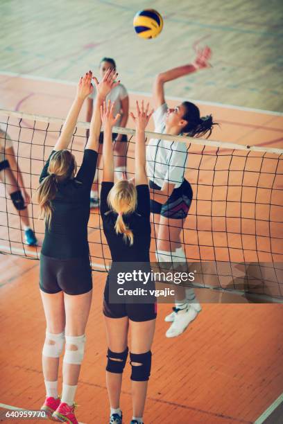 women in sport - volleyball - spiking stock pictures, royalty-free photos & images