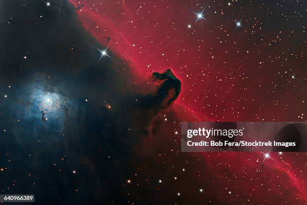 the horsehead nebula in the constellation orion. - nebulosa cabeza de caballo fotografías e imágenes de stock