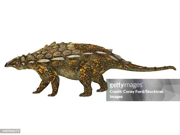 side view of a gargoyleosaurus dinosaur. - scute stock illustrations