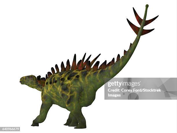 huayangosaurus dinosaur on white background. - scute stock illustrations