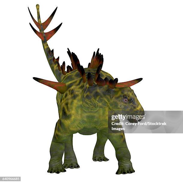 huayangosaurus dinosaur, front view. - scute stock illustrations