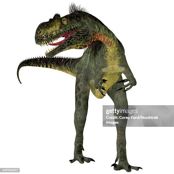 megalosaurus dinosaur, front view. - megalosaurus stock illustrations