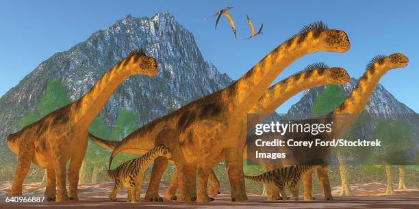 a camarasaurus sauropod dinosaur herd keeps watch on their offspring. - creation kit stock illustrations
