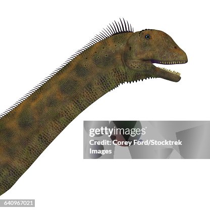 Acrocanthosaurus Portrait On White Background High-Res Vector Graphic ...