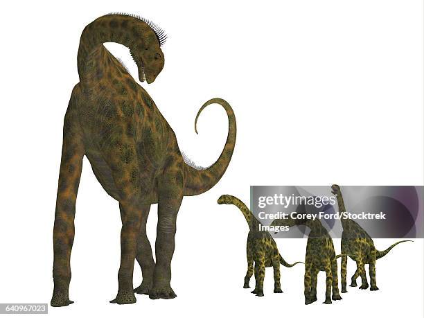 Atlasaurus Size 217 Dinosaur Size Comparison Stock Photos, High-Res Pictures, and ...