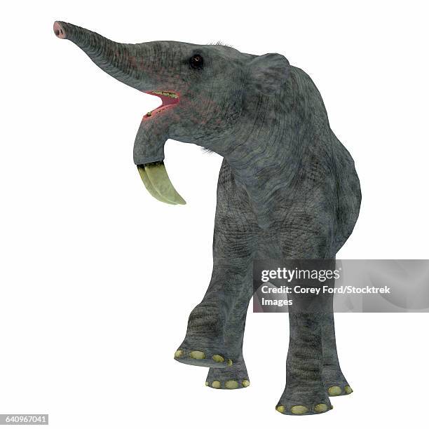 deinotherium on white background. - miocene stock illustrations