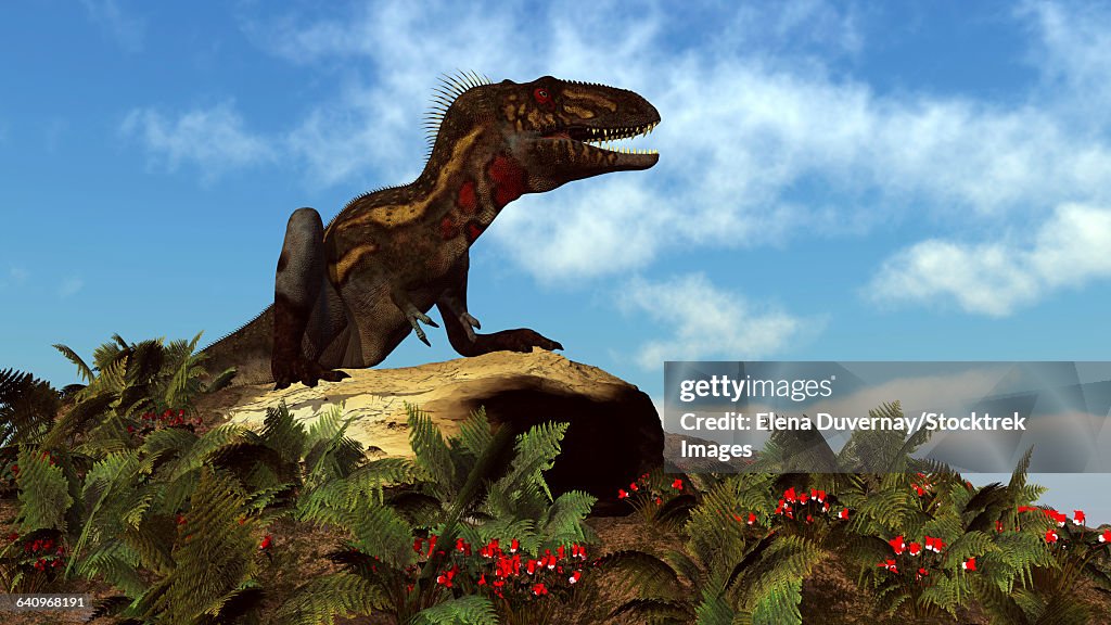 Nanotyrannus dinosaur resting on a rock among red flowers and ferns.