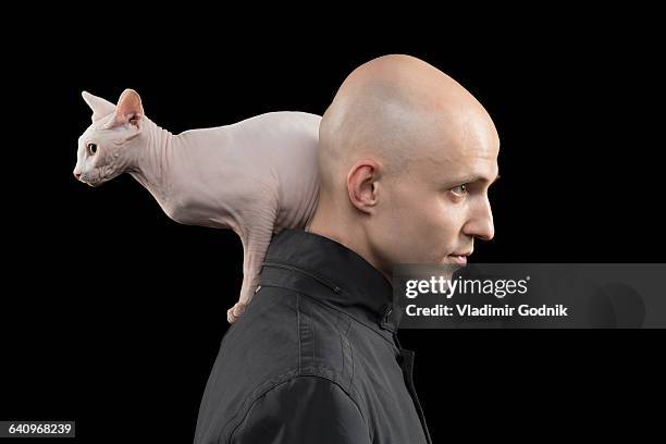 side view of bald man carrying sphynx hairless cat on shoulder against black background - sphynx hairless cat imagens e fotografias de stock