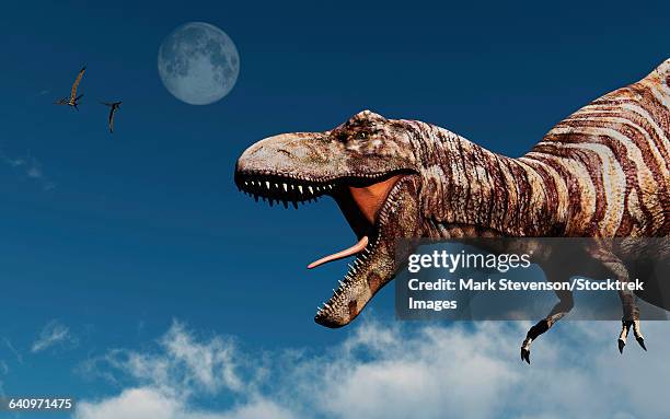 profile of a tyrannosaurus rex. - angry moon stock illustrations