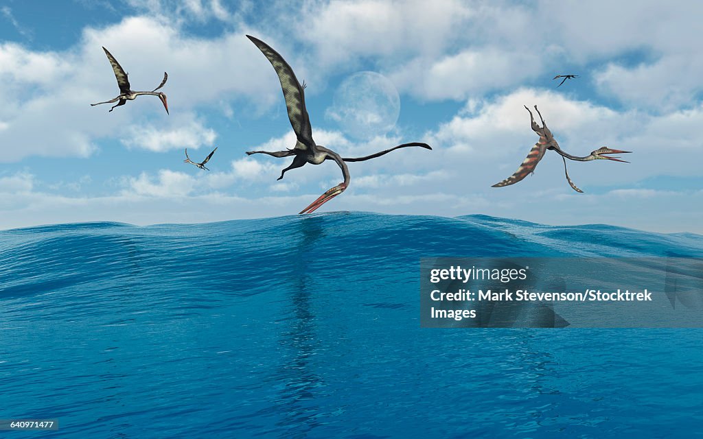 A flock of Quetzalcoatlus fishing.