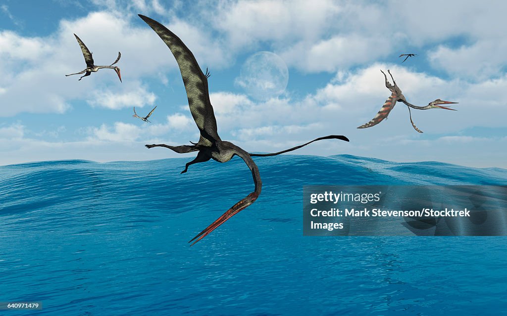 A flock of Quetzalcoatlus fishing.