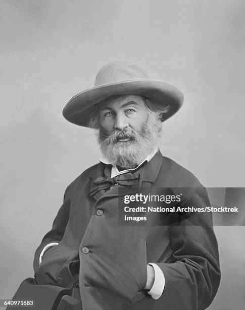 walt whitman portrait circa 1861-1865. - walt whitman stock pictures, royalty-free photos & images