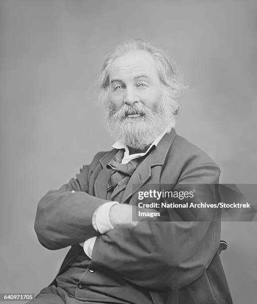 walt whitman portrait circa 1861-1865. - walt whitman stock pictures, royalty-free photos & images