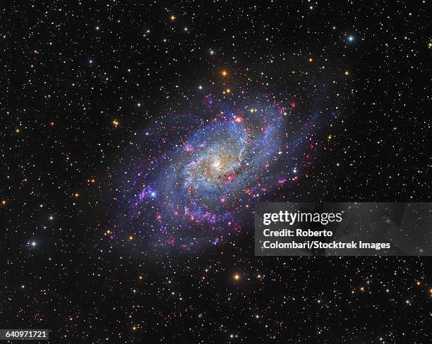 Triangulum Galaxy Photos and Premium High Res Pictures - Getty Images