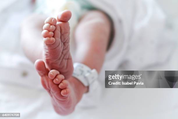 newborn baby boy at hospital with identity tag on feet, close up - new born stock-fotos und bilder