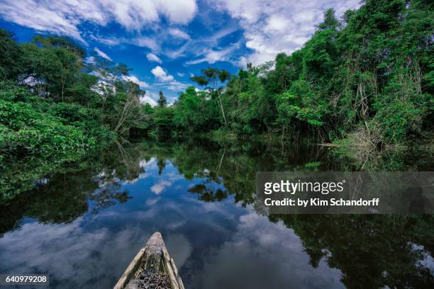 nanay river fishing - amazonas fotografías e imágenes de stock