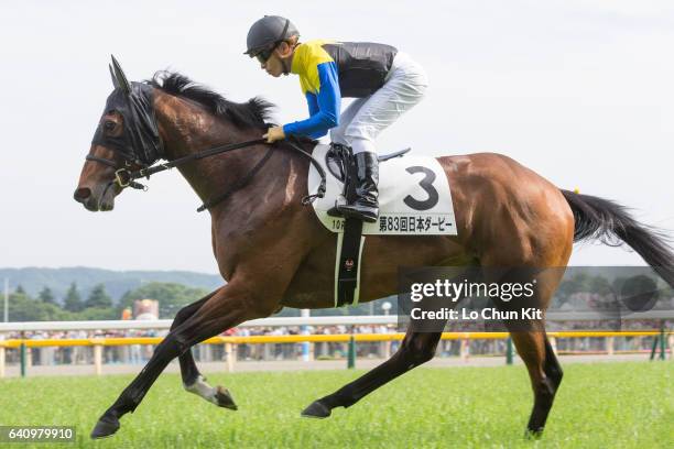 Jockey Yuga Kawada riding Makahiki during Race 10 Tokyo Yushun Japanese Derby at Tokyo Racecourse on May 29, 2016 in Tokyo, Japan.