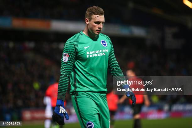 David Stockdale of Brighton & Hove Albion during the Sky Bet Championship match between Huddersfield Town and Brighton & Hove Albion at The John...