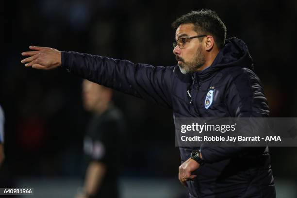 David Wagner head coach / manager of Huddersfield Town during the Sky Bet Championship match between Huddersfield Town and Brighton & Hove Albion at...